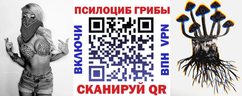 наркота  Вольск  OMG вход  Галлюциногенные грибы ЛСД 